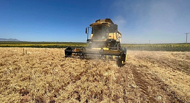 Karaman'da Nohut Hasatı Devam Ediyor