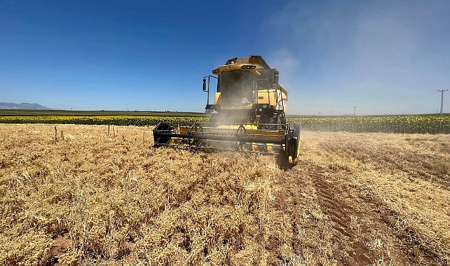 Karaman'da Nohut Hasatı Devam Ediyor