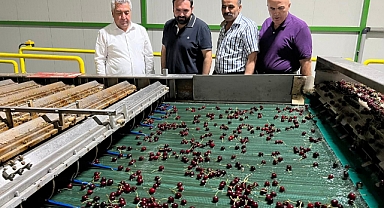 Karaman'dan Avrupa Ülkelerine Kiraz İhracatı Sürüyor