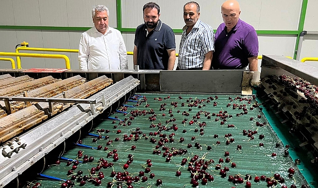 Karaman'dan Avrupa Ülkelerine Kiraz İhracatı Sürüyor