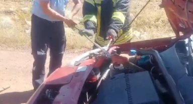 Karaman'da hafif ticari aracın motor bölümüne giren yılan çıkarıldı