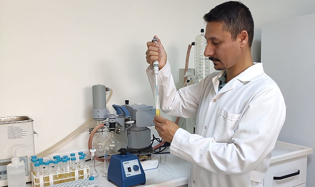KMÜ’lü Akademisyen Danışmanlığında Hamam Böcekleri İle Mücadele Mekanizmaları Araştırılacak