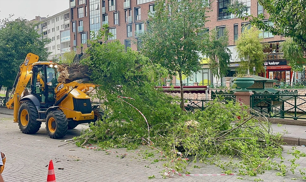 Kuvvetli rüzgar ağacı devirdi