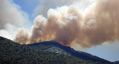 Orman yangınları atmosferdeki karbondioksit emisyonunu artırıyor