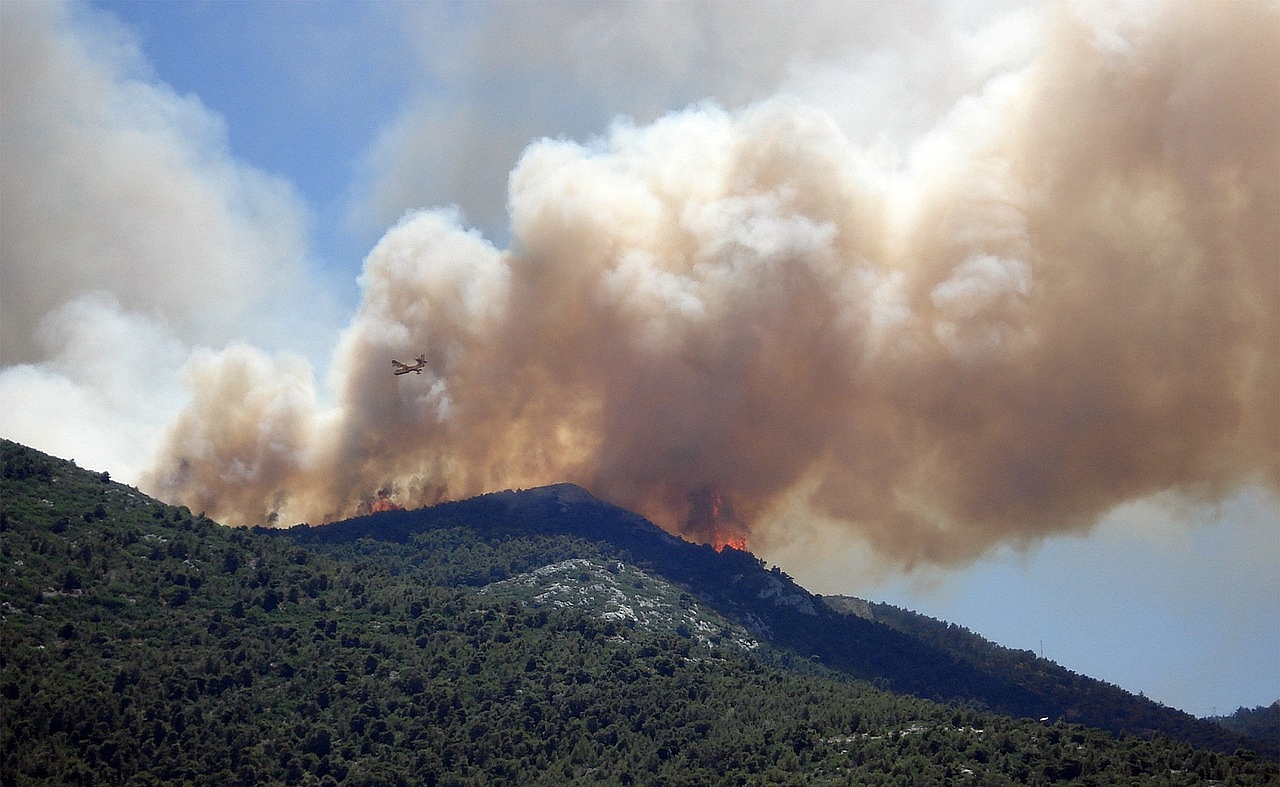 Orman yangınları atmosferdeki karbondioksit emisyonunu artırıyor
