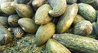 Pazarda hırtlak 70 liradan satılıyor