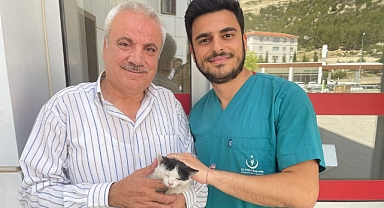 Sağlıkçı, bir kediye ışık oldu