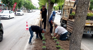 Saha Çalışmaları Aralıksız Devam Ediyor