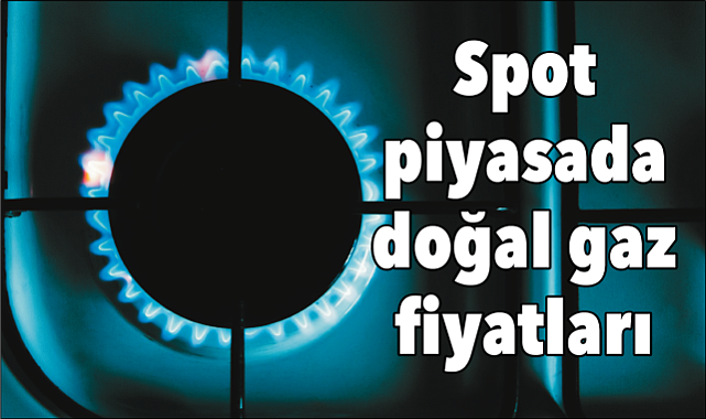 Spot piyasada doğal gaz fiyatları