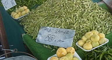 Taze Bamya Altınla Yarışa Girdi