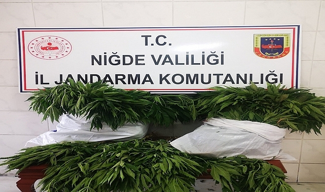 Uyuşturucu operasyonunda 2 zanlı tutuklandı