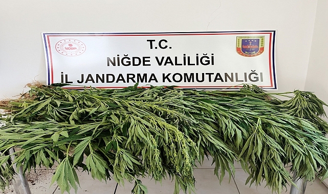 Uyuşturucu operasyonunda 2 zanlı yakalandı