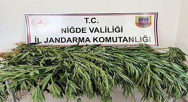 Uyuşturucu operasyonunda 2 zanlı yakalandı