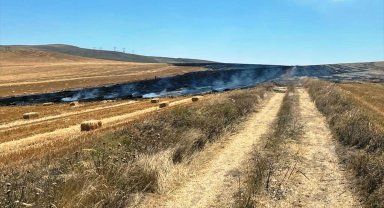 Yangında 1500 dekar alan yandı