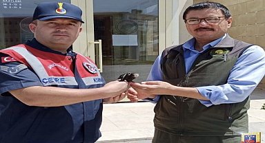 Yaralı ebabil tedaviye alındı