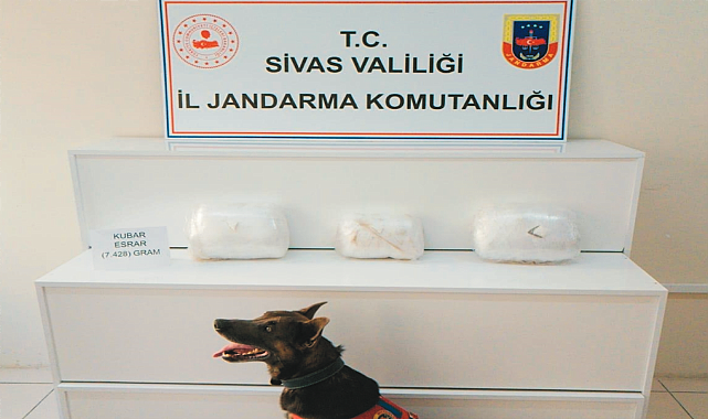 7 kilo 428 gram esrar ele geçirildi