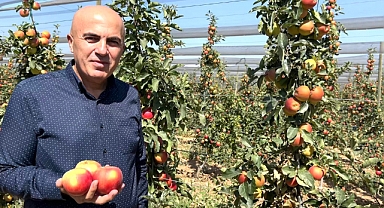 Bayram, Elma Üreticisini Tokatçılara Karşı Uyardı