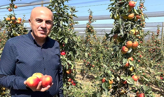 Bayram, Elma Üreticisini Tokatçılara Karşı Uyardı