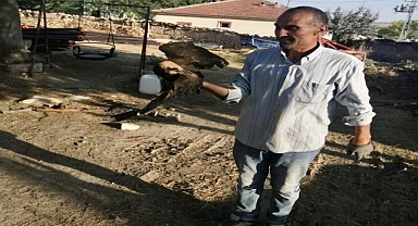 Doğada bulunan yaralı saz delicesi kuşu tedaviye alındı