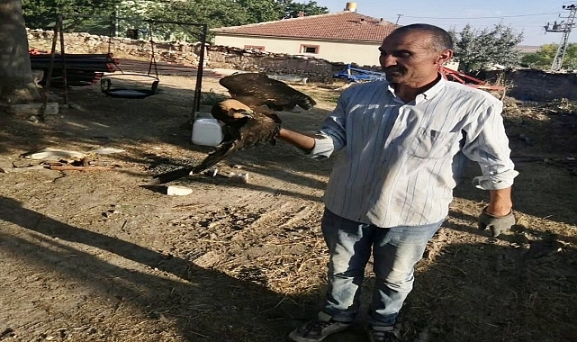 Doğada bulunan yaralı saz delicesi kuşu tedaviye alındı