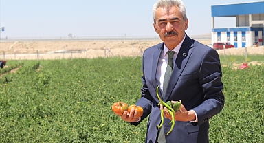 Karaman'da Ata Tohumlarından Üretilen Sebze ve Meyveler İhtiyaç Sahiplerine Ulaştırılıyor