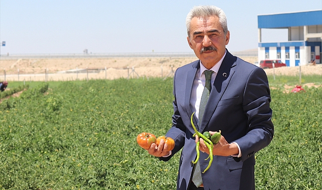 Karaman'da Ata Tohumlarından Üretilen Sebze ve Meyveler İhtiyaç Sahiplerine Ulaştırılıyor