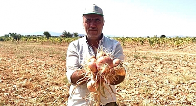Karaman'da Soğan Hasadı Başladı