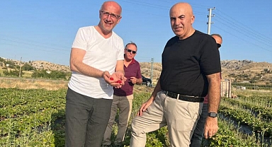 Karaman'da Yağlık Ayçiçeği Alım Noktası Kuruluyor