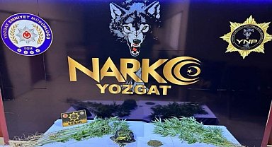 Ormanlık alanda Hint keneviri yetiştiren şüpheli tutuklandı