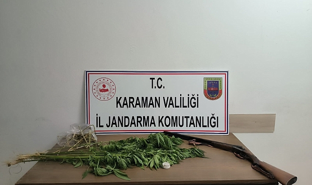 Yasadışı kenevir eken şahıs gözaltına alındı