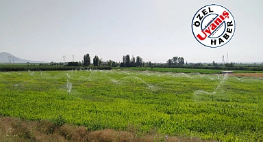 863 Çiftçinin Hibe Desteği Aldığı Karaman’da Tarımsal Üretim Arttı