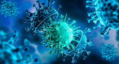 Bakan Koca duyurdu: Eris varyantı Türkiye'de