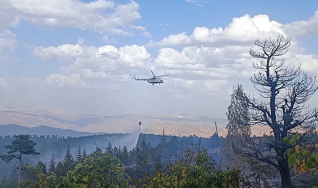 Hadim'de orman yangınına havadan ve karadan müdahale ediliyor