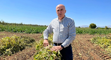 Karaman'da Fasulye Hasadı Başladı