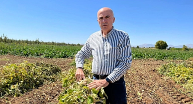 Karaman'da Fasulye Hasadı Başladı