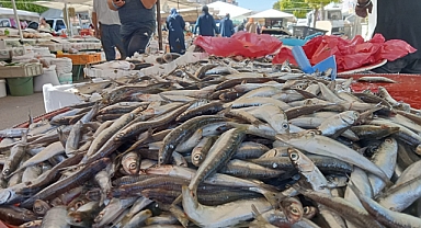 Karaman'da Hamsi Tezgâhlarda 50 Liradan Alıcı Buluyor