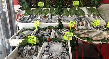 Karaman'da su ürünleri satış yerlerine denetim