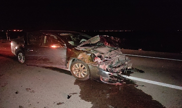 Otomobilin çarptığı sürüde 15 koyun telef oldu