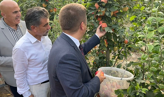 Vali Sarıibrahim Elma Hasadına Katıldı