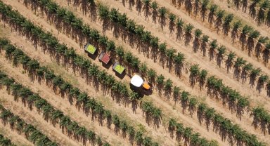 36 bin nüfuslu ilçeden 18 ülkeye elma ihracatı