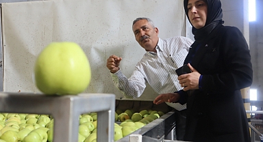 Karaman Elması Dünya Pazarında