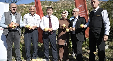 Narlıdere köyünde Nar Hasadı Zamanı