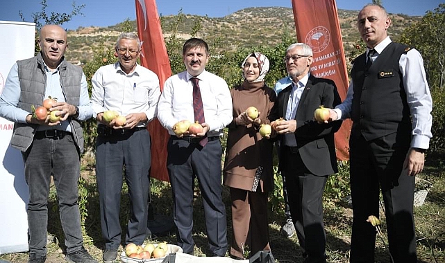 Narlıdere köyünde Nar Hasadı Zamanı