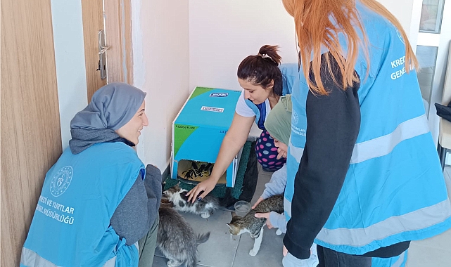 Öğrenciler sokak hayvanları için barınak yaptı