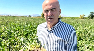 Pancar Üreticisinin C Kotası Sıkıntısı