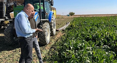 Şeker Pancarı üreticisi C Kotası fiyat açıklaması bekliyor