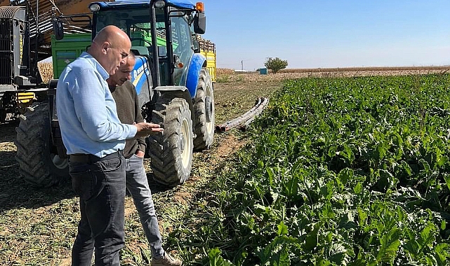 Şeker Pancarı üreticisi C Kotası fiyat açıklaması bekliyor