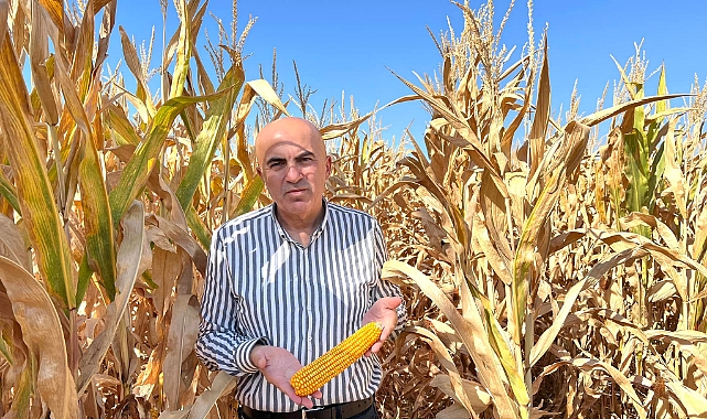 Bayram: Bu Yıl Karaman’da 500 Bin Ton Mısır Rekoltesi Beklentimiz Var. TMO Depo Kapasitesini Acilen Artırmalı