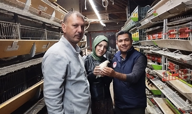 Bıldırcınların Merkezi Karaman