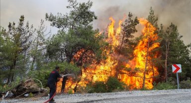 Bu yıl orman yangınlarının yüzde 80'i ihmal, dikkatsizlik ve kaza sonucu çıktı